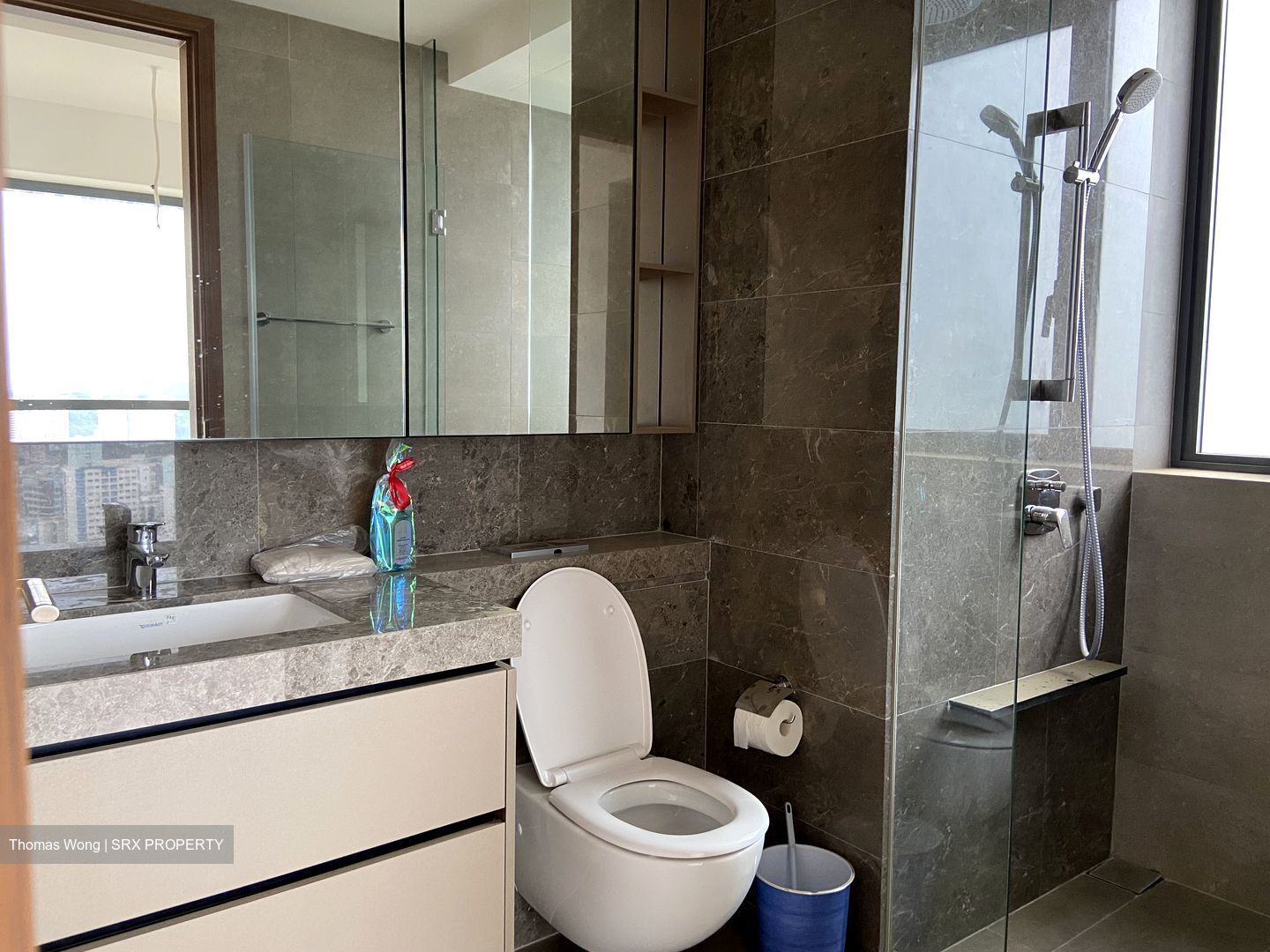 Stirling Residences (D3), Apartment #638252181